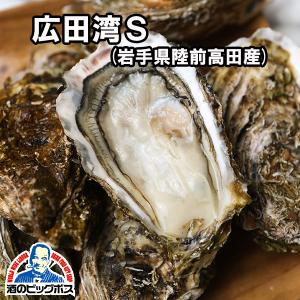 生牡蠣 生食用 大田市場直送 山小三 殻付き かき カキ オイスター 国内産真牡蠣 岩手県陸前高田 広田湾S 1個 クール便