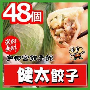 お歳暮 御歳暮 餃子 ぎょうざ 点心 ギフト  宇都宮餃子館 健太餃子 8個×6パック 48食セット 食品 冷凍品 メーカー直送 さくら食品