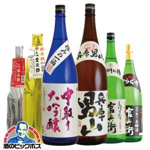 日本酒セット 一升瓶 送料無料 名城 最強6本飲み比べセット 1800ml×6本 名城酒造｜bigbossshibazaki