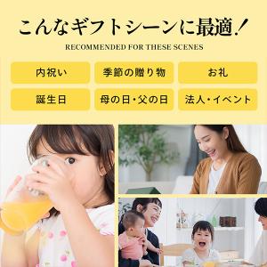 お中元 御中元 リンゴ ストレート アップルジ...の詳細画像3