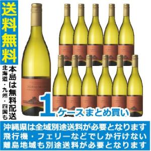 ワイン まとめ買い シャトー デル・バジェ 白 750ml 1ケース×12本(012)｜bigbossshibazaki