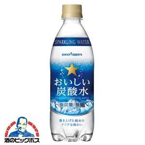 ポッカサッポロ おいしい炭酸水 500mlペッ...の詳細画像1