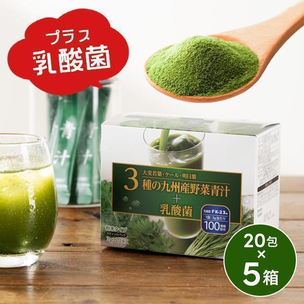 青汁 乳酸菌 粉末タイプ 送料無料 3種の九州産野菜青汁＋乳酸菌 3g×20袋×5個/計100袋(0...