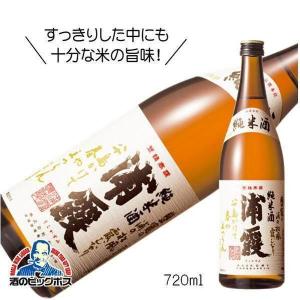 キリン（KIRIN） 本麒麟 500ml×6缶パック : お酒のちゃがたパーク