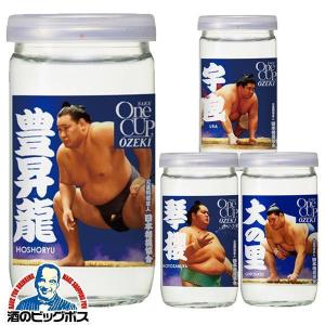 2022年2月14日限定発売 日本酒  大関 ワンカップ 大吟醸 中島みゆきの歌ラベル 180ml瓶×10本