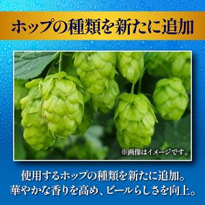 ビール beer 350ml 48本 送料無料...の詳細画像5