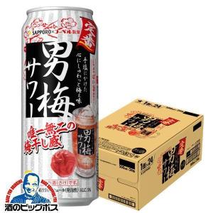 ヱビスビール サッポロ エビスビール 500ml 24缶入 2ケース (48