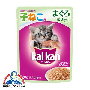 猫 ねこ えさ おやつ グッズ カルカン ジュー...の商品画像