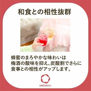 中野BC 紀州南高梅 蜂蜜の梅酒 12度 72...の詳細画像2