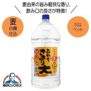 若松酒造 本格麦焼酎 これできまり大 20度 5000ml 5L 鹿児島県 『HSH