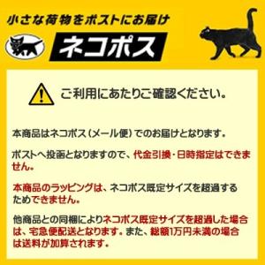 メーカー純正品 CASIO カシオ G-SHO...の詳細画像2