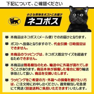 メーカー純正品 CASIO カシオ G-SHO...の詳細画像2