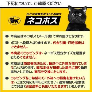 メーカー純正品 CASIO カシオ G-SHO...の詳細画像2