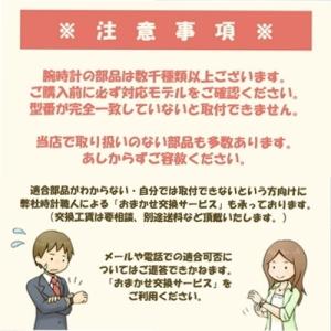 メーカー純正品 CASIO カシオ PROTR...の詳細画像1