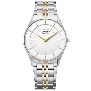 CITIZEN COLLECTION シチズンコレクション エコドライブ 薄型 日本製 メンズ腕時計 AR3014-56A｜bigboys-c