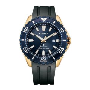 CITIZEN PRO MASTER シチズン プロマスター MARINEシリーズ ダイバーズウォッチ エコドライブ ブルー メンズ腕時計 BN0196-01L｜bigboys-c