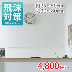 タペストリー 吊り下げ オーダー 透明 塩化ビニール 幅25-50cm丈30-80cm｜bigen