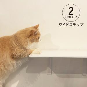 animacolle アニマコレ キャットステッ...の商品画像