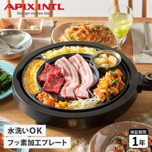 APIX INTL アピックスインターナショナル グリルプレート 焼肉プレート グリルマイスター GRILL MEISTER ブラック 黒 AGP-350｜biget