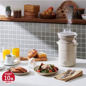 エムケー精工 電気せいろ EM-215K TEGARU SEIRO 21cm レシピブック付き