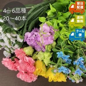 生花の福袋 Sサイズ 切花 4種類以上20本〜4...の商品画像