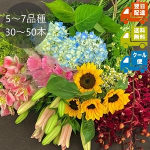 生花の福袋 Mサイズ 切花 5種類以上30本〜5...の商品画像
