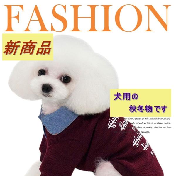 犬 服 襟付き ニットカーディガン デニムシャツ セット アンサンブル ドッグウェア 被毛対策 傷舐...