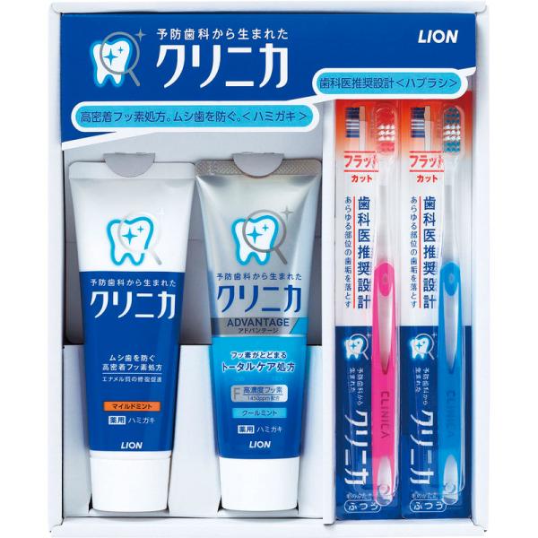 ライオン クリニカデンタルセット CDS-10E