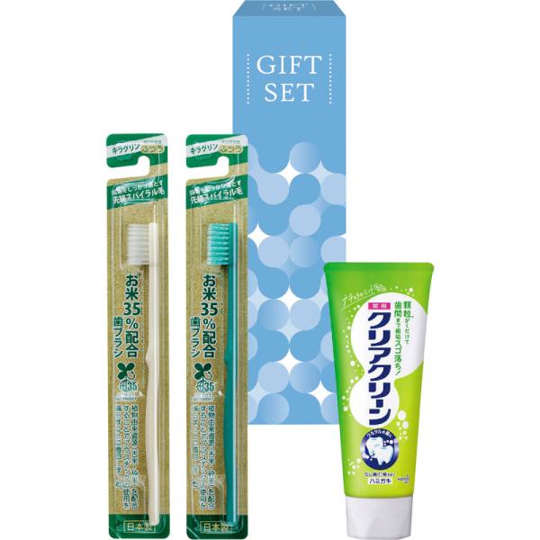 デンタルクリーンセット DCS-080