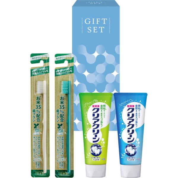 デンタルクリーンセット DCS-120