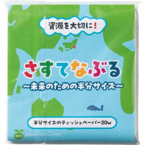 さすてなぶる ハンディーティッシュ20W(ポリタイプ)の商品画像