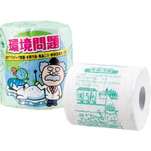 環境問題 1ロール 2898