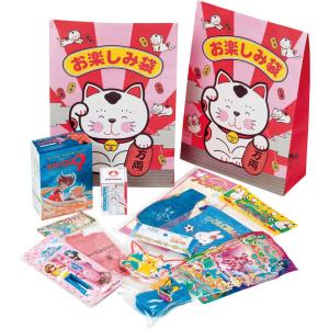 おたのしみ袋 中 1822-04の商品画像