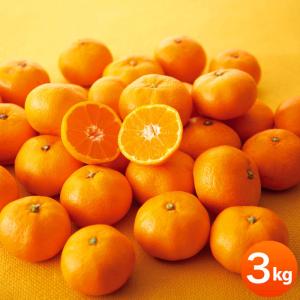 岩八園 超小粒 有田みかん 3kg【直送品】［送料無料］
