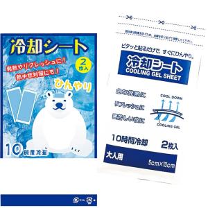 冷却シート2枚入 16-013の商品画像