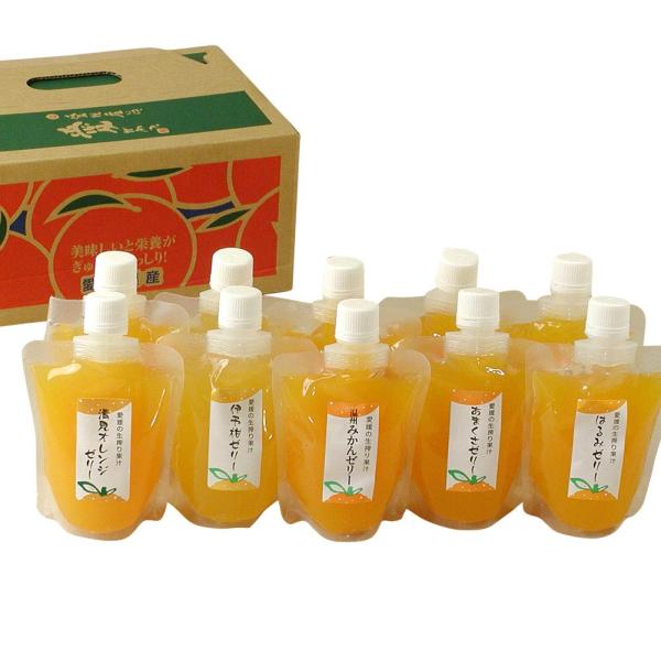 極々果実 ちゅうちゅうゼリー 10個セット みかんゼリー 国産 愛媛 ギフト