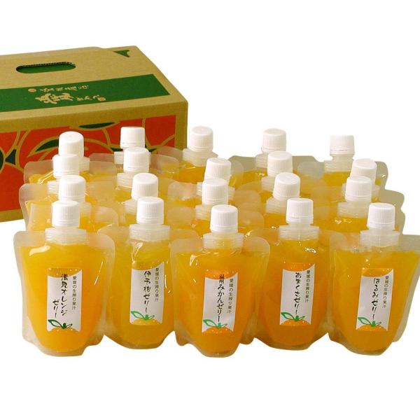 極々果実 ちゅうちゅうゼリー 20個セット みかんゼリー 国産 愛媛 ギフト