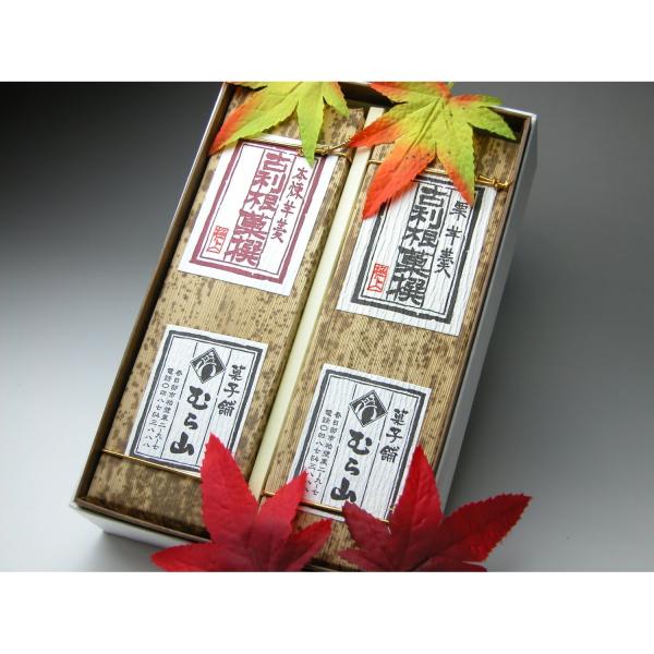 郷菓心むら山 本練羊羹&amp;栗羊羹２本入 栗羊羹　ようかん　本練ようかん　栗ようかん 栗羊羹　国産小豆