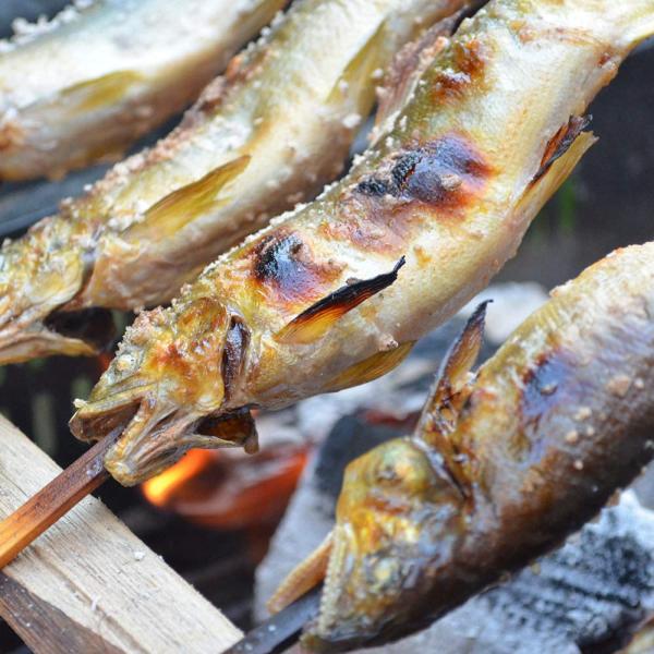 鮎の炭火焼 10尾入り 喜連川湧水育ち 鮎 鮎の塩焼き