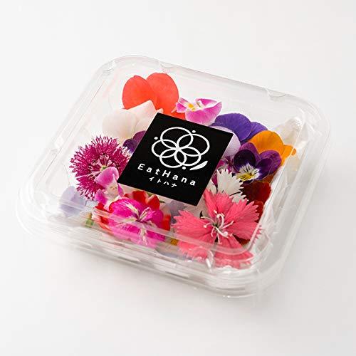 ＜室内栽培＞【エディブルフラワー MIX（20輪）】EatHanaイトハナ 食べられる花 水洗い不要...