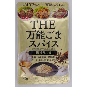 浜乙女 THE万能スパイス (塩すりごま) 40g x 10袋の商品画像