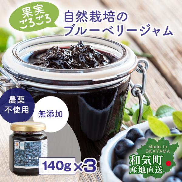 自然農法 ブルーベリージャム 140g x3個 農薬 除草剤 化学肥料不使用 自然素材 果実たっぷり...