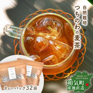 国産有機六条大麦茶 TB ( 10g*16袋入 )/ 金沢大地 麦茶パック