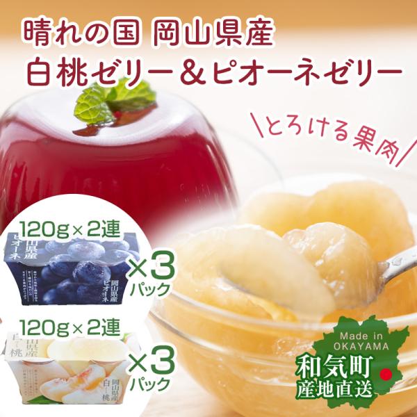 岡山県産 白桃ゼリー＆ピオーネゼリーのセット 合計2連x6パック ご自宅用 果肉たっぷり 湯むき 産...