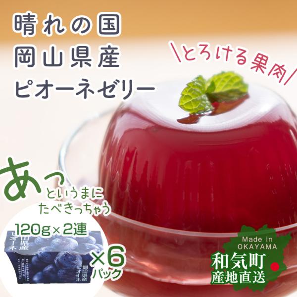岡山県産 ピオーネゼリー 2連x6パック ご自宅用 果肉たっぷり 産地直送 国産 日本製  産直