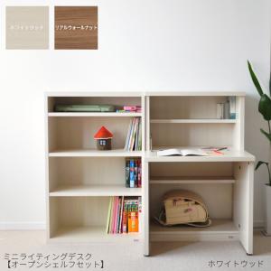 フナモコ（FUNAMOCO） ミニライティングデスク ガラス戸シェルフセット