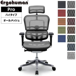 エルゴヒューマン プロハイタイプ EHP-HAM メッシュ オフィスチェア パソコンチェア Ergohuman PRO リクライニング メッシュ 送料無料 テレワーク おしゃれ