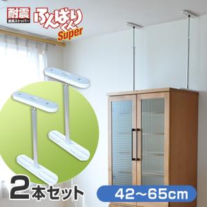 家具転倒防止板 ザ・ストップ 4本入 地震対策用品 取り付け簡単 防災