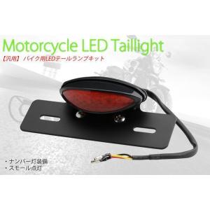 SuperDio ZX AF28 LEDリアスポイラー用クリア/ブルーLEDテールランプ