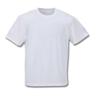 2Pクルーネック半袖Tシャツ 大きいサイズ メンズ Phiten  ホワイト｜bigsize